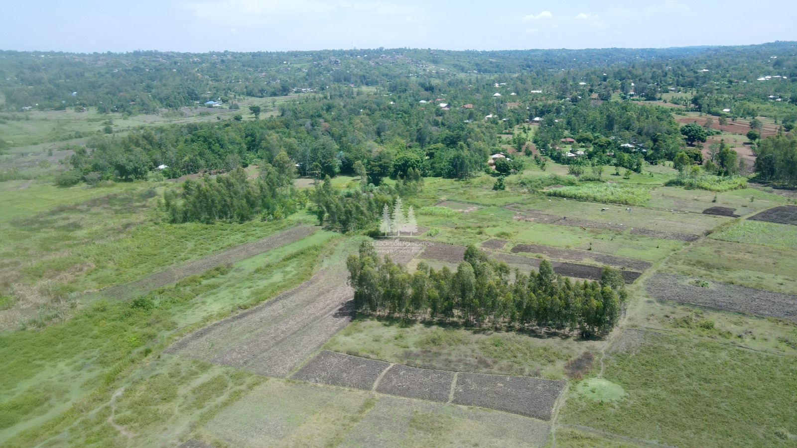 Image 02