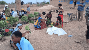 Read more about the article Reforestation